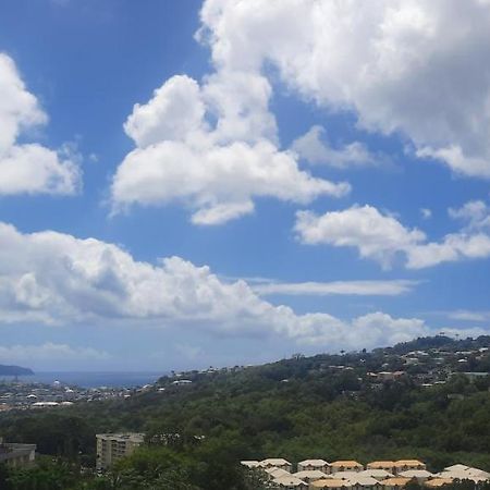 Super Appartement T3 Proche De Tout Sans Vis-A-Vis Fort-de-France Eksteriør billede